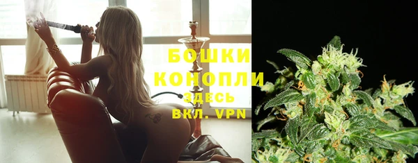 прущие крисы Новозыбков