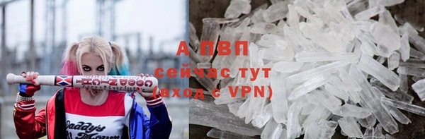 стафф Новодвинск