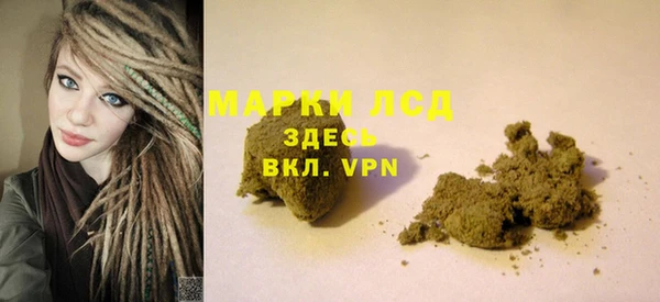 прущие крисы Новозыбков