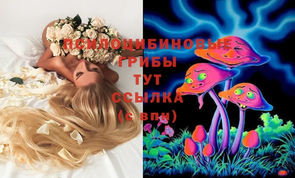 прущие крисы Новозыбков