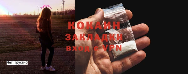стафф Новодвинск