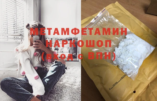 стафф Новодвинск