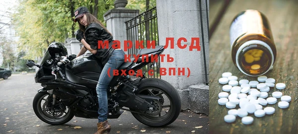 стафф Новодвинск