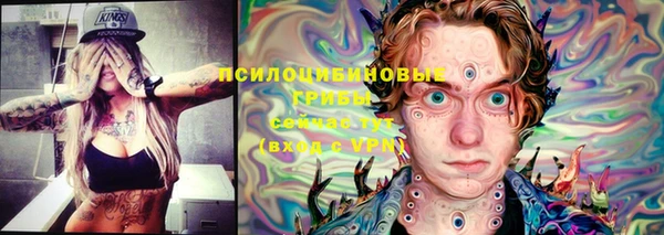 стафф Новодвинск