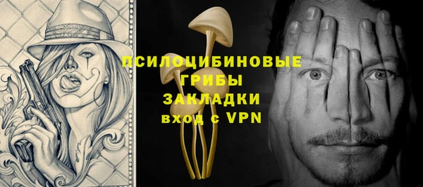 прущие крисы Новозыбков
