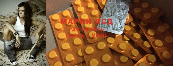 стафф Новодвинск