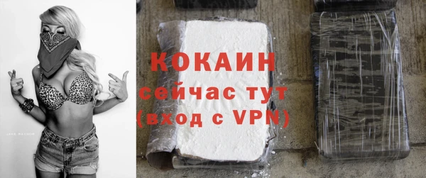 стафф Новодвинск