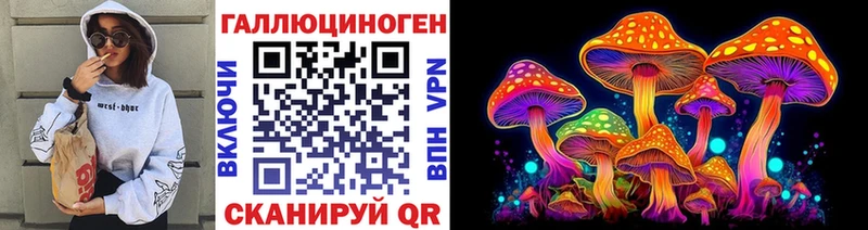 Галлюциногенные грибы MAGIC MUSHROOMS  Купить  Чкаловск 